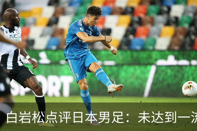 白岩松点评日本男足：未达到一流强队标准，仍需克服对荷兰的恐惧